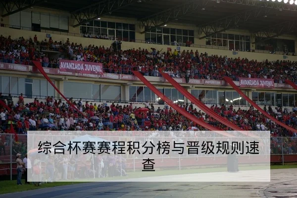 综合杯赛赛程积分榜与晋级规则速查